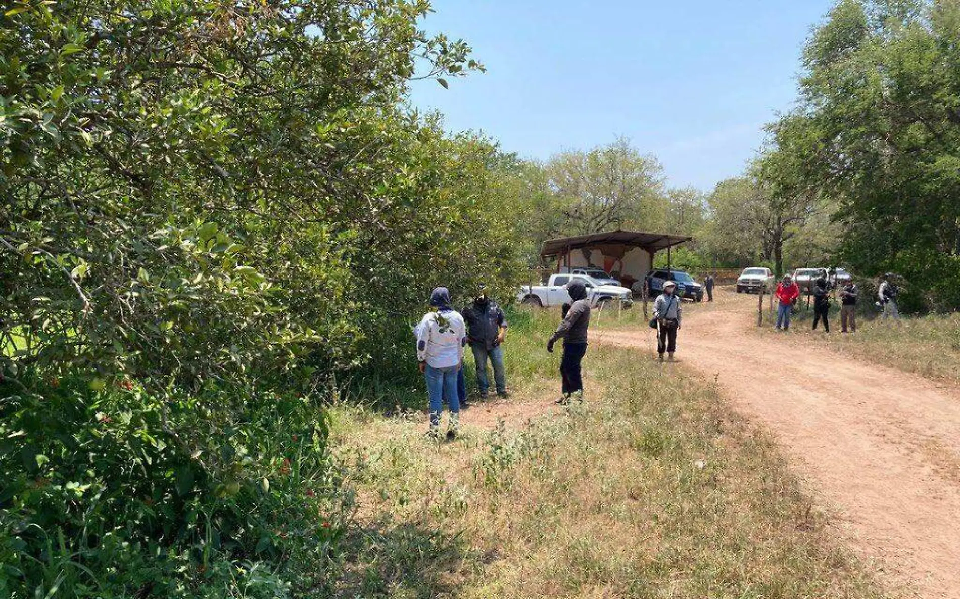 Labores de búsqueda de desaparecidos en el norte de Tamaulipas @Busqueda_MX